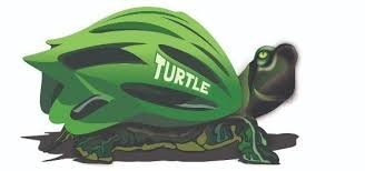 TURTLE HELMET COMPANY
